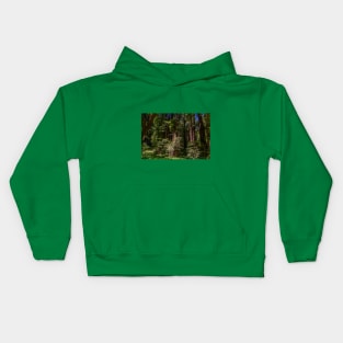 Massive Redwood Trees in a Green Forest Kids Hoodie